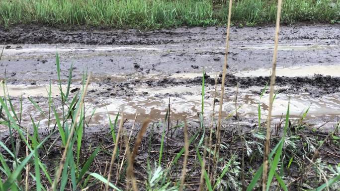 汽车驶过泥泞的道路，越野车泥泞沼泽