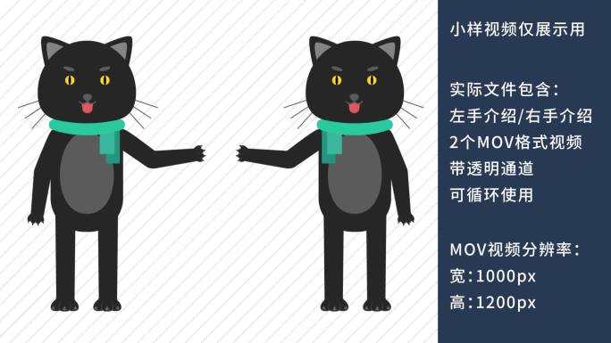 MG动画卡通猫咪教师讲课动物解说员