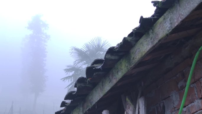 烟雨朦胧的乡村一角