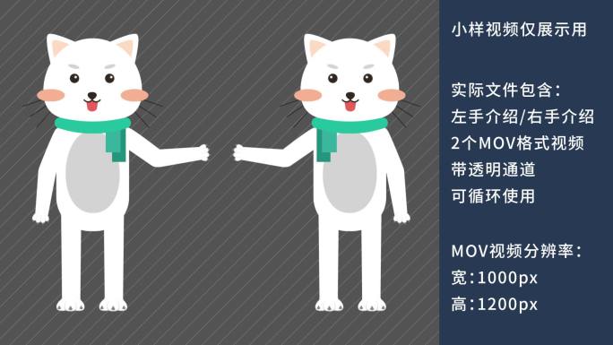 MG动画卡通猫咪教师讲课动物解说员