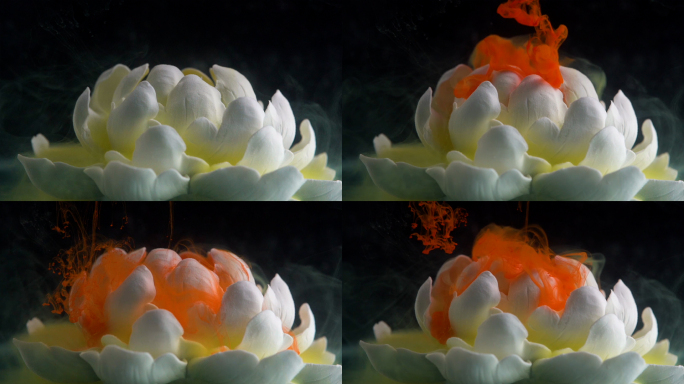 多种水墨颜料花瓣中流动延时摄影宏观摄影