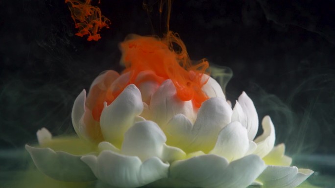 多种水墨颜料花瓣中流动延时摄影宏观摄影