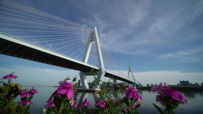 海南海口世纪大桥延时摄影
