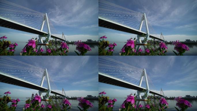 海南海口世纪大桥延时摄影