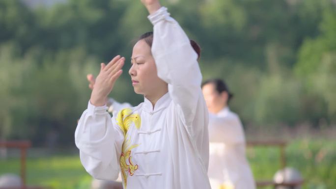 公园清晨太极幸福美好生活