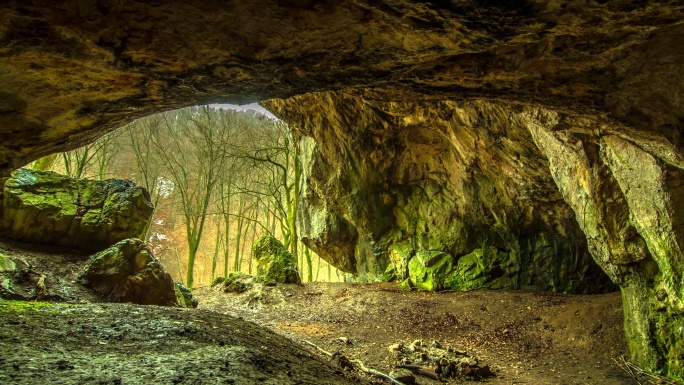 森林洞穴