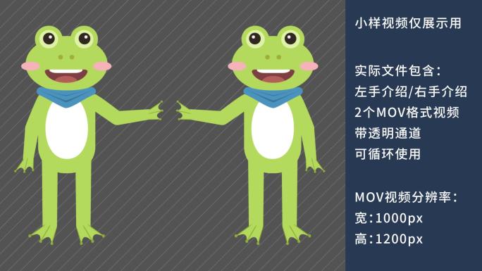 MG动画卡通青蛙讲解讲课动物解说员