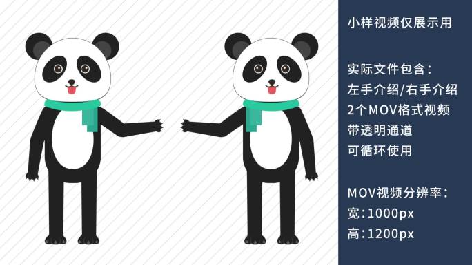 MG动画卡通熊猫教师讲课动物解说员