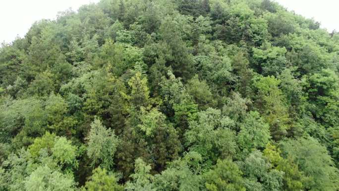 航拍贵阳市云岩区鹿冲关公园