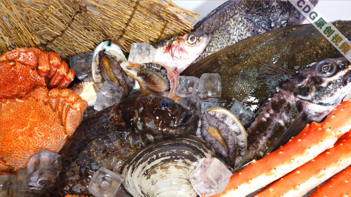 鲜活海鲜捕鱼烹饪高端食材水产品宣传片
