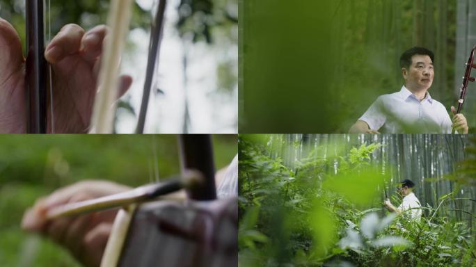 竹子、竹林、男人、拉二胡、乐器、传统艺术