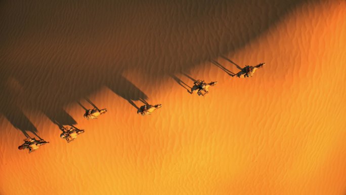 原创景观人文沙漠骆驼