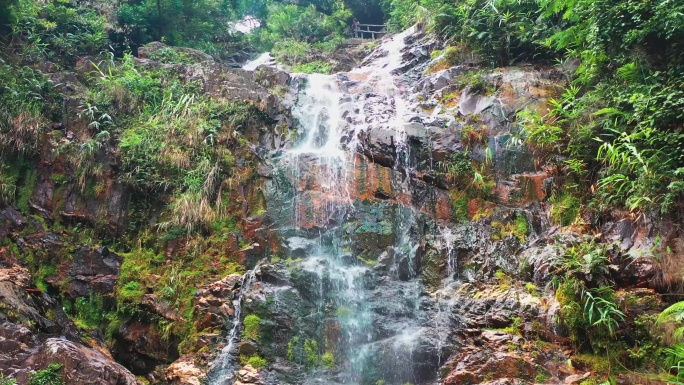 肇庆鼎湖山