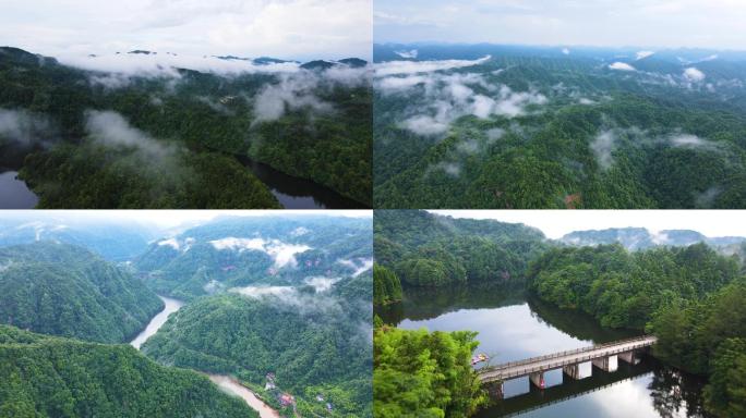 风景重庆四面山森林大自然云雾缭绕