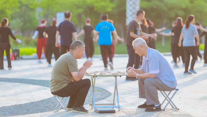 老年人早晨公园下橡棋