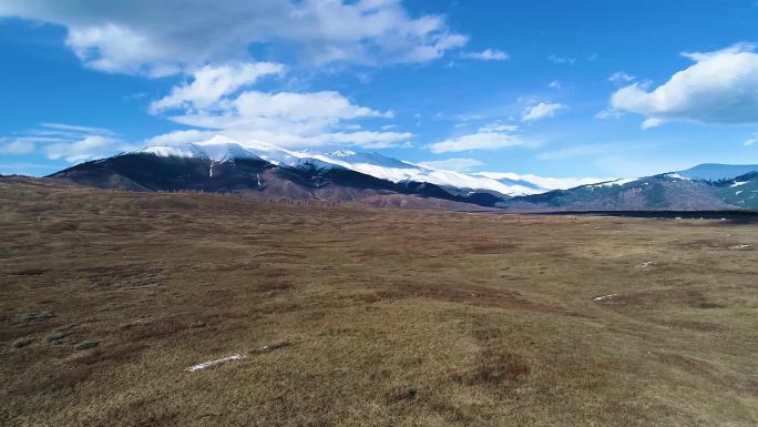 新疆风景，雪山，公路，晴天，草原