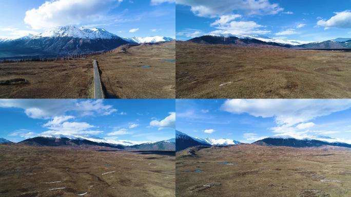 新疆风景，雪山，公路，晴天，草原