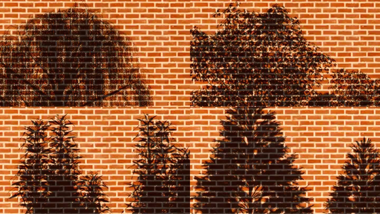 砖墙树影斑驳光影集合