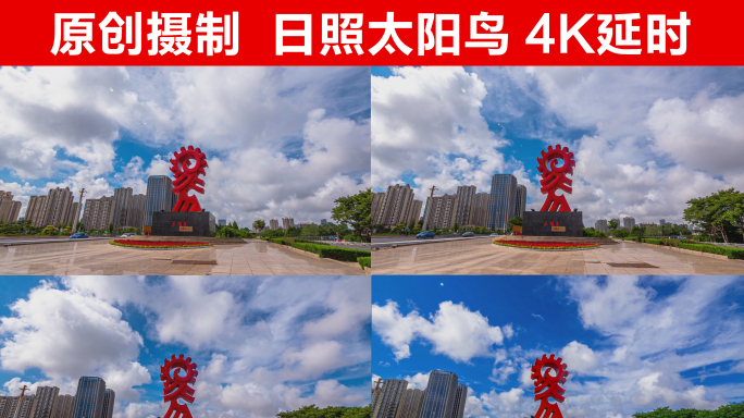 日照市太阳鸟大范围移动延时摄影4K