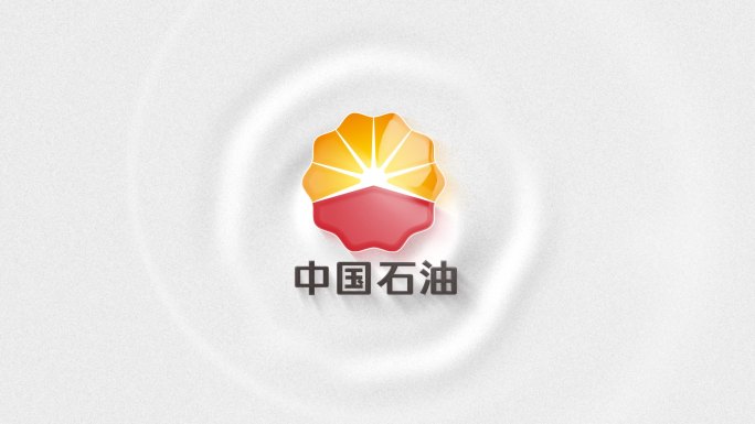 LOGO(华为/中石油)