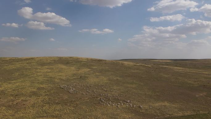 内蒙古大草原无人机壮观航拍