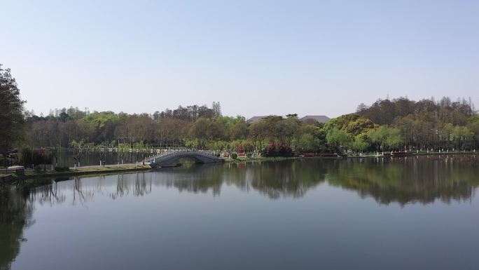 东湖公园武汉航拍树林湖水