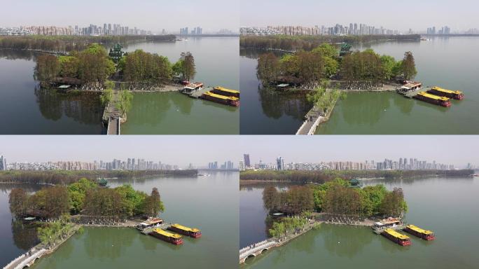 东湖公园武汉航拍树林湖水
