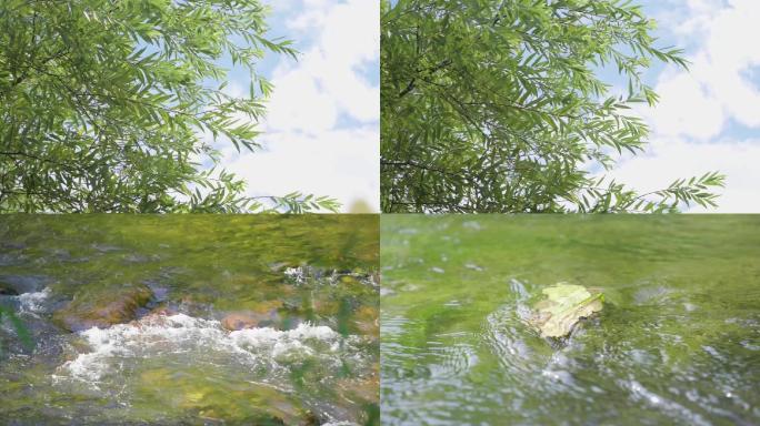 竹叶夏天水流风蓝天小溪崀山