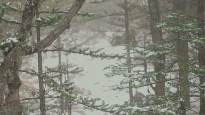 4k雪山 雪景