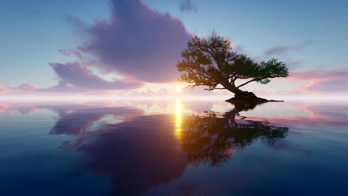 4K意境大海唯美生命之树
