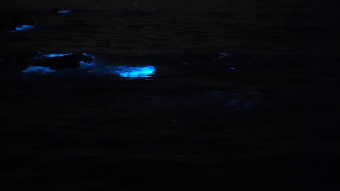 荧光沙滩海浪荧光海