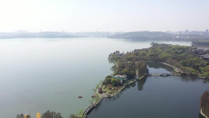 东湖公园航拍武汉湖水树林公园