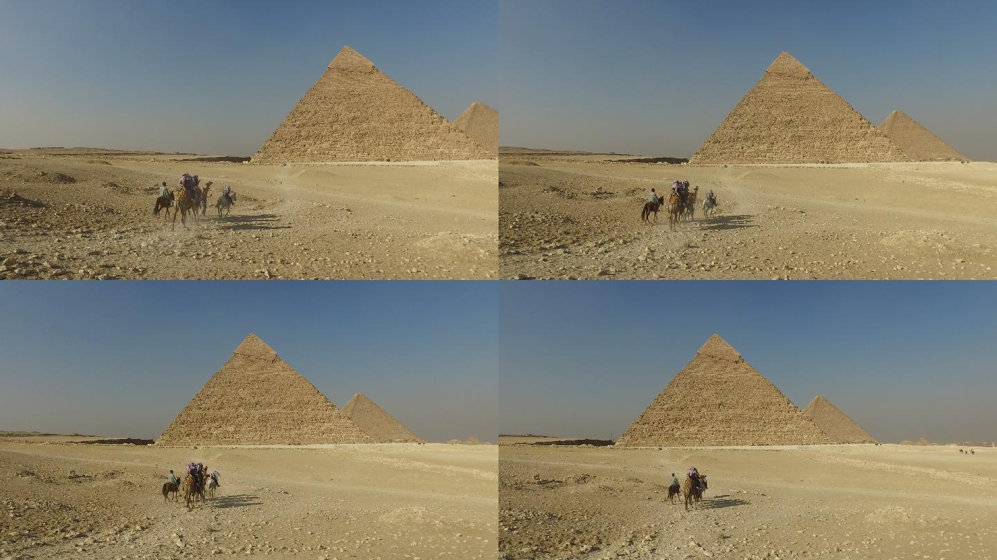 游客骑着骆驼在吉萨大金字塔