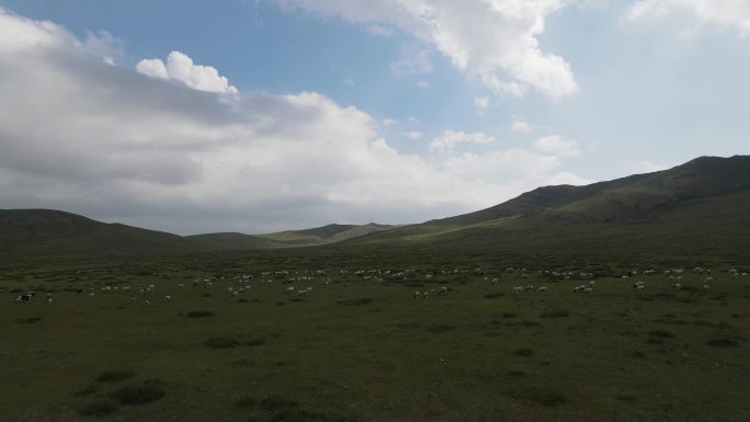 航拍内蒙古最美草原公路达达线沿途风光