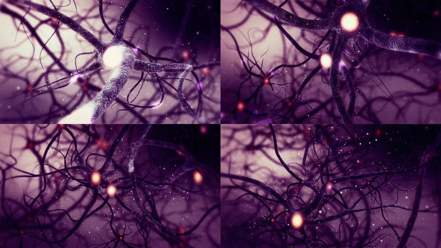 神经元突触网络动画。