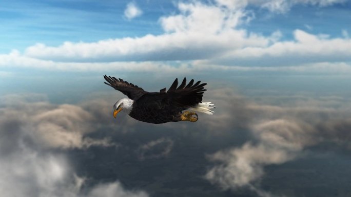 白头鹰在蓝天白云中飞行的特写视图