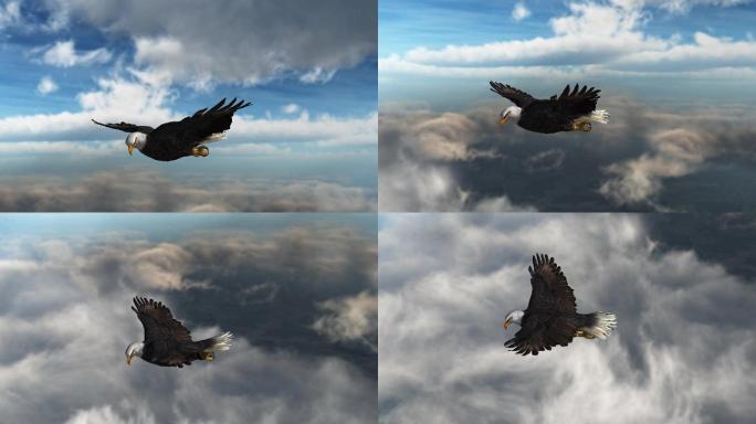 白头鹰在蓝天白云中飞行的特写视图