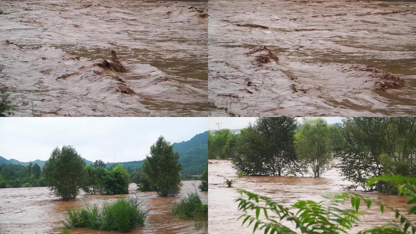卢氏洛河洪水