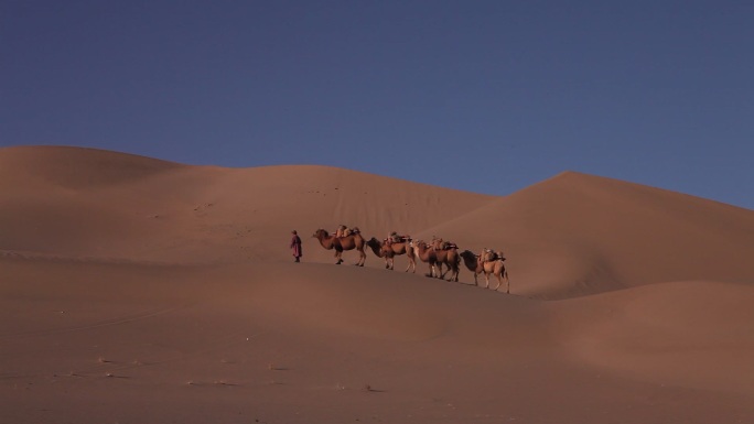 一支骆驼队伍走在沙漠中
