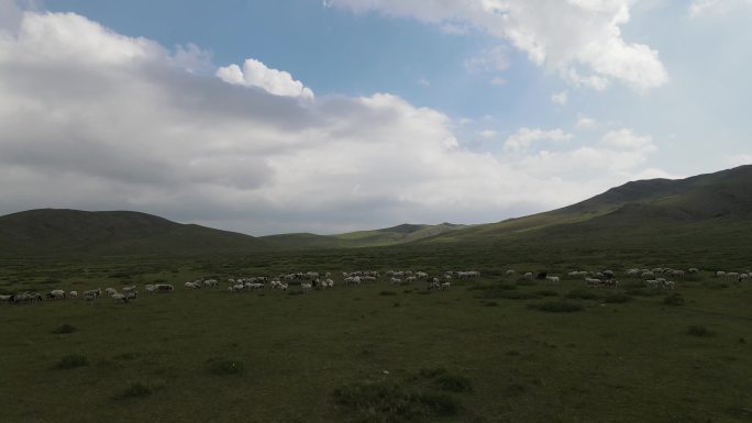 航拍内蒙古最美草原公路达达线沿途风光