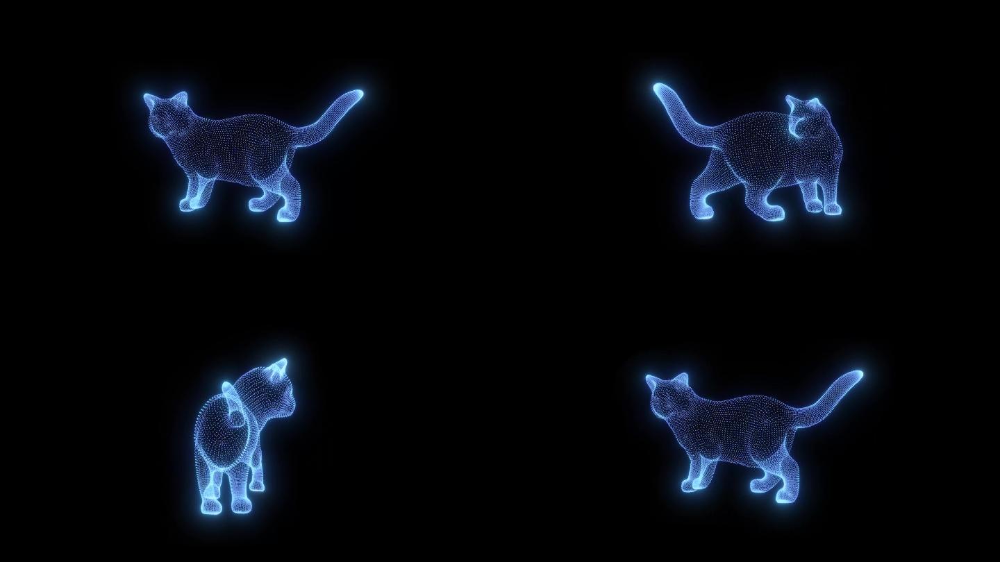猫-带透明通道