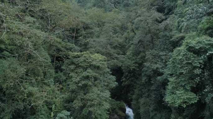 怒江原始森林小溪 河流  4K 航拍