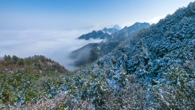 1080高清 春雪融化过程