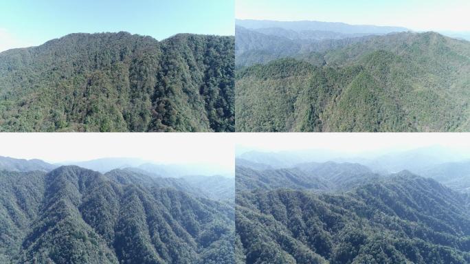 航拍贵州八万山森林公园