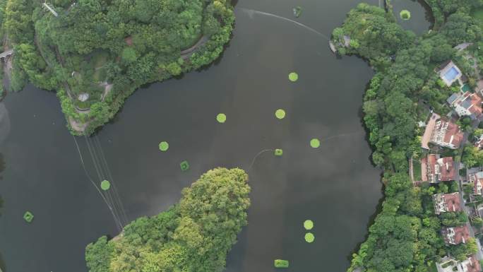 重庆彩云湖湿地公园彩云湖一号航拍4K