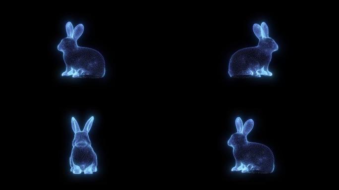 兔子-带透明通道