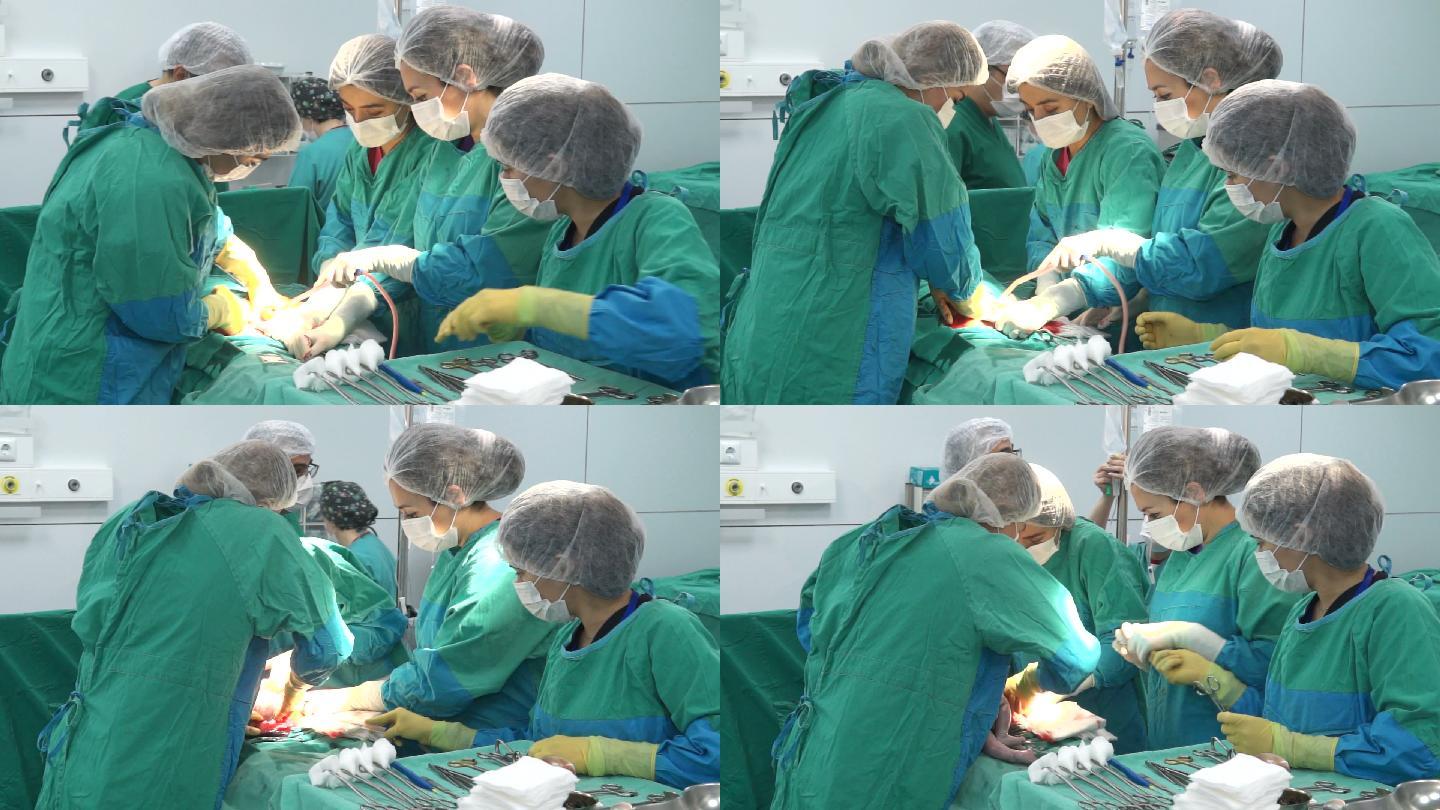 剖宫产的手术团队。