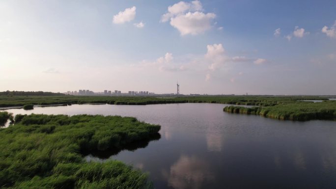 高铁穿越大庆湿地航拍4K