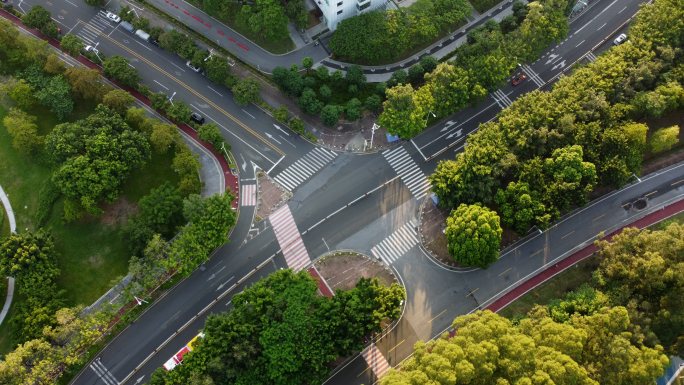 绿色城市航拍