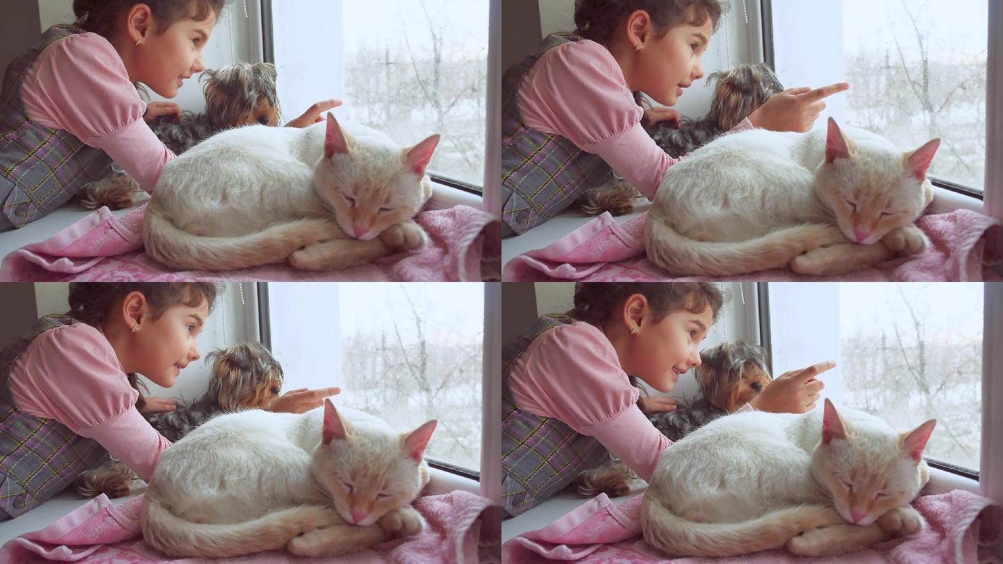 女孩的宠物猫和狗